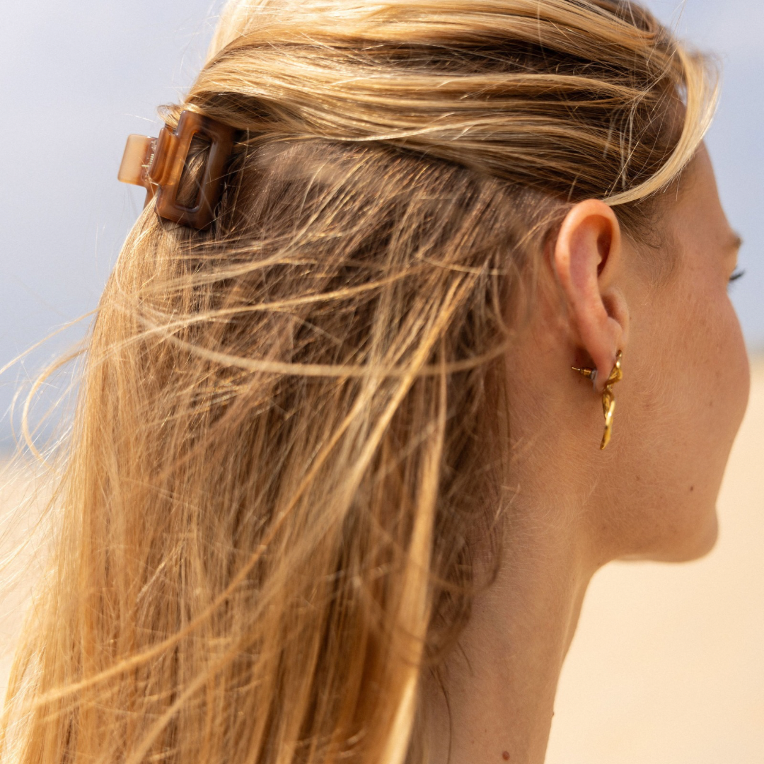 Noyer haarclip