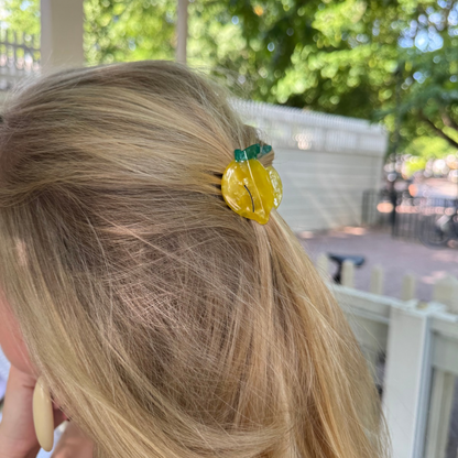 Haarclip Citroen